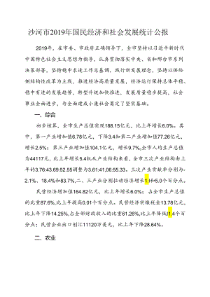 沙河市2019年国民经济和社会发展统计公报.docx