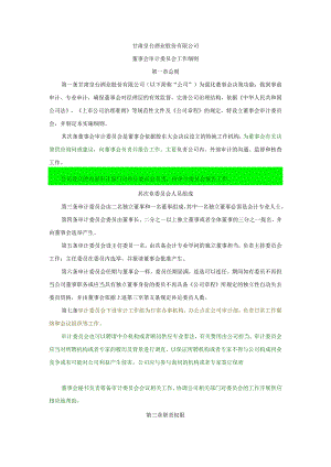 007审计委员会工作细则.docx