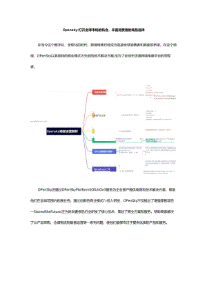 0pensky：打开全球市场的机会丰富消费者的商品选择.docx