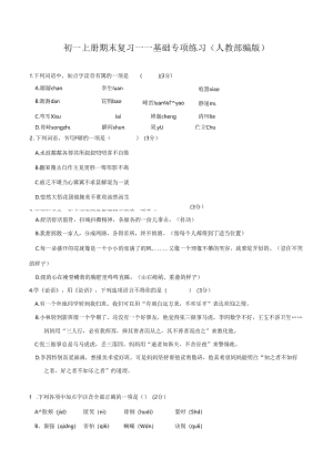(人教部编版)七上期末复习——基础训练汇总.docx