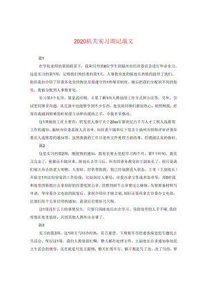 2024机关实习周记版本.docx