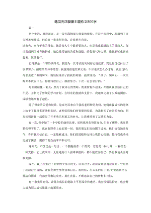 遇见光正能量主题作文500字.docx