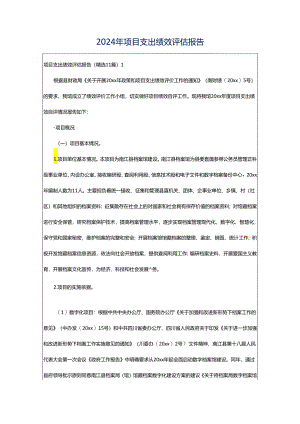 2024年项目支出绩效评估报告.docx