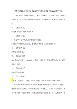 致远实验学校劳动技术实操课活动方案.docx