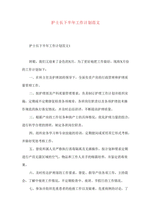 护士长下半年工作计划范文.docx