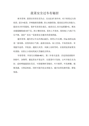 菠菜安全过冬有秘招.docx