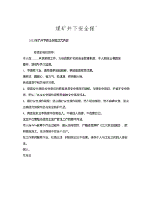 煤矿井下安全保证.docx