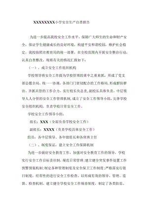 小学安全生产自查报告.docx