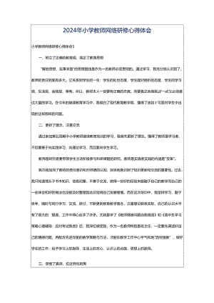 2024年小学教师网络研修心得体会.docx