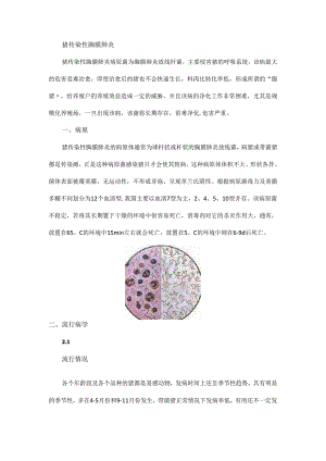 猪传染性胸膜肺炎预防与治疗措施.docx