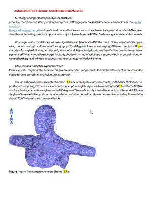 ADINA Mesh Generation 网格划分 仿真软件.docx