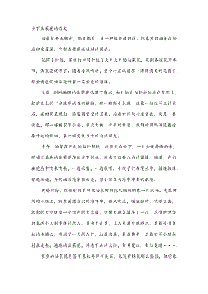 乡下油菜花的作文.docx