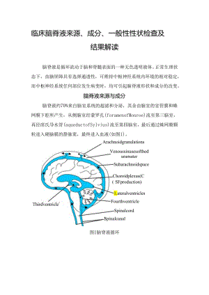 临床脑脊液来源、成分、一般性性状检查及结果解读.docx