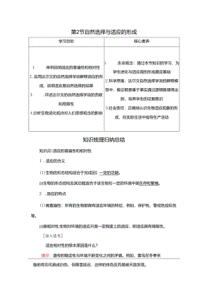 2023-2024学年 人教版 必修二自然选择与适应的形成 学案.docx