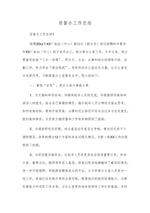 目督办工作总结.docx