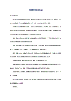 2024年项目总结.docx