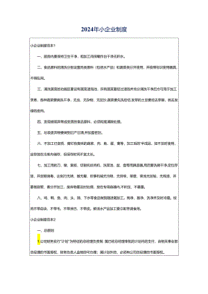 2024年小企业制度.docx