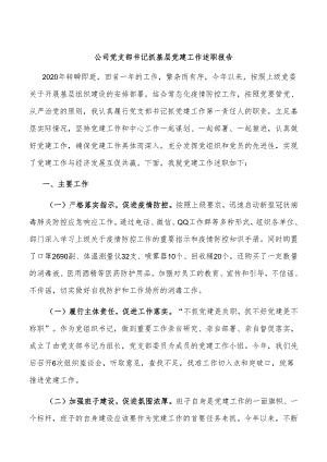 公司党支部书记抓基层党建工作述职报告.docx