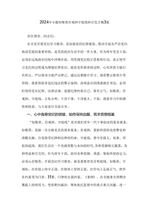 2024年专题知敬畏存戒惧守底线研讨发言稿3篇.docx