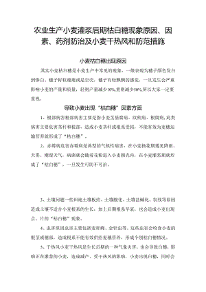 农业生产小麦灌浆后期枯白穂现象原因、因素、药剂防治及小麦干热风和防范措施.docx