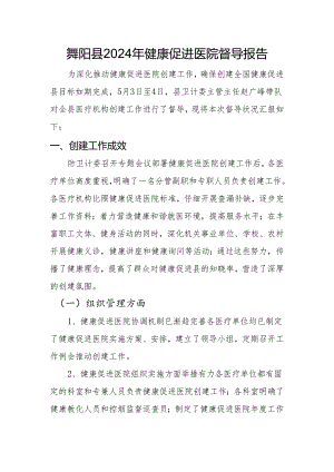 舞阳县2024年健康促进医院督导报告(拟定稿).docx