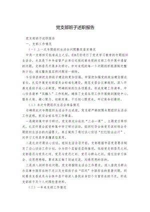 党支部班子述职报告.docx
