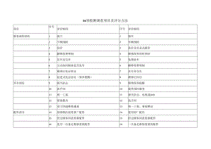 16项检测调查项目及评分方法（汽车）.docx