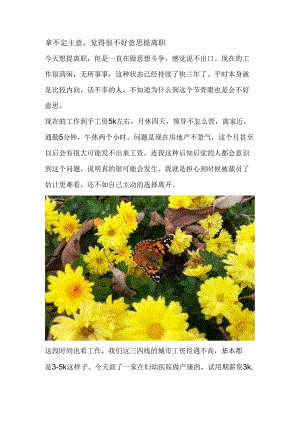 拿不定主意觉得很不好意思提离职.docx