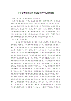 公司党支部书记抓基层党建工作述职报告.docx