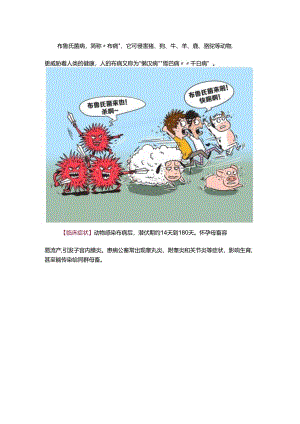 布鲁氏菌病防控科普知识.docx