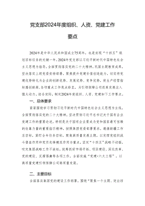党支部2024 年度组织、人 资、党建工作要点.docx