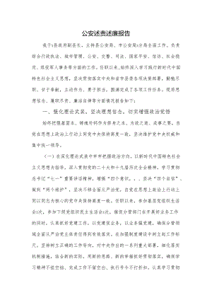 公安述责述廉报告.docx