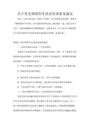 关于党支部组织生活会征求意见建议.docx