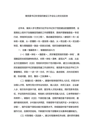 镇党委书记在党组织建设工作会议上的交流发言.docx