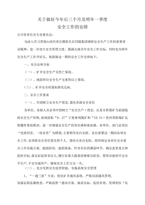 安全工作安排.docx