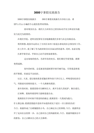 3000字暑假实践报告.docx