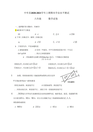 37.北师版·河南省郑州市中牟县期末.docx