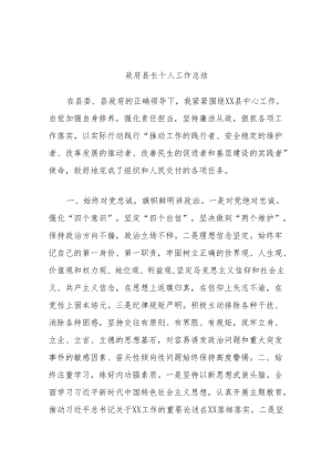 政府县长个人工作总结.docx