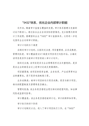 “5432”体系优化企业内部审计职能.docx