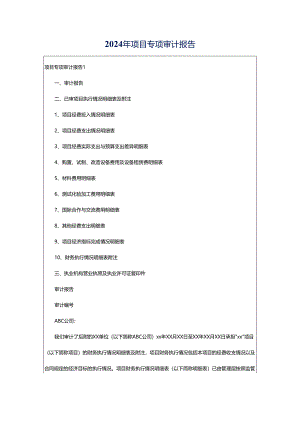 2024年项目专项审计报告.docx