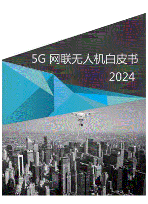 20245G网联无人机白皮书.docx