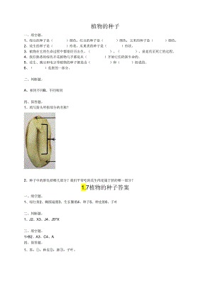 小学科学粤教粤科版四年级上册《植物的种子》练习（含答案）.docx