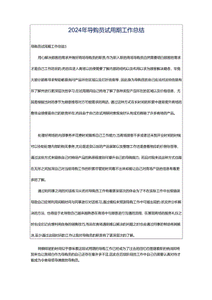 2024年导购员试用期工作总结.docx