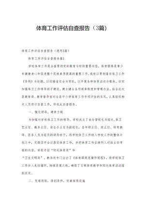 体育工作评估自查报告（3篇）.docx