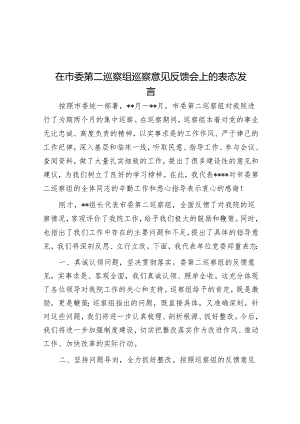 在市委第二巡察组巡察意见反馈会上的表态发言&电商园在巡察整改动员会上的表态发言.docx