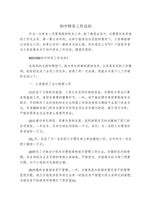 初中财务工作总结.docx