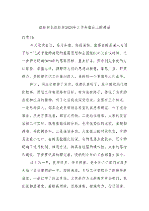 组织部长组织部2024年工作务虚会上的讲话.docx