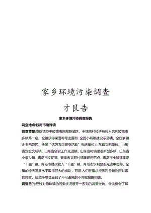 家乡环境污染调查报告模板.docx