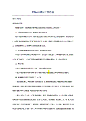 2024年项目工作总结.docx