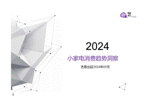 2024小家电消费趋势洞察.docx